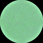Nepalese Lokta Sheet Paper Apple Green